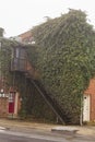 Black stairs surrounded by a big green bush building