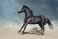 Black stallion in desert Royalty Free Stock Photo