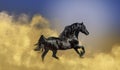 Black stallion fresian Royalty Free Stock Photo