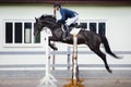 Black stallion horse and handsome man rider jumping obstacle during showjumping competition