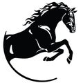 Black stallion horse in the jump Royalty Free Stock Photo