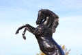 Black Stallion Horse statue Royalty Free Stock Photo