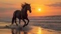 Black stallion running on beach Royalty Free Stock Photo