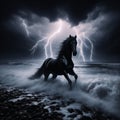 Black Stallion in a Storm