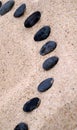 Black stepping stones