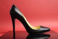 Black stiletto high heel female shoe on red background