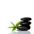 Black stone balancing whit bamboo Royalty Free Stock Photo