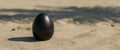 Black Stone Egg on the Beach, Sand, Shadows and Sunlight Isolated Mystical Artifact Royalty Free Stock Photo