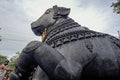 Black stone Nandi bull sits on Chamundi Hill way to Chmudi temple