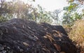 Black Stone or Rock Cliff Mountain Hill on Tree and Sky Background 2 Royalty Free Stock Photo