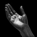 Black stone statue hand on white background Royalty Free Stock Photo