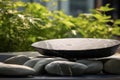 Black stone table with green plants on the background. Natural composition