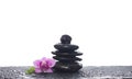 Black stones balance and orchid flowers Royalty Free Stock Photo