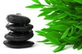 Black stones and bamboo leaves Royalty Free Stock Photo