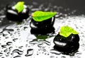 Black stones with green leafs Royalty Free Stock Photo