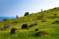 Black stones on the hillside with green grass, blue sky Royalty Free Stock Photo