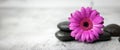 Black stones and purple flower on white marble background. beauty treatment concept. banner copy space Royalty Free Stock Photo