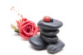 Black stones with rose and ladybug Royalty Free Stock Photo