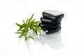 Black stones and sprig of rosemary Royalty Free Stock Photo