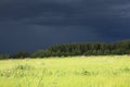 Black storm clouds over a summer green meadow Royalty Free Stock Photo