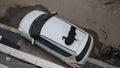 Black stray street dog sleeping on a white car