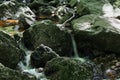 Black Stream in the Jizera Mountains Royalty Free Stock Photo