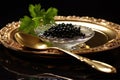 Black sturgeon caviar deli food on a plate with spoon
