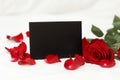 Black stylish invitation or greeting card with mockup and bright red rose flower and petals on white background. St Royalty Free Stock Photo
