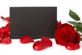 Black stylish invitation or greeting card with mockup and bright red rose flower and petals on white background. St Royalty Free Stock Photo