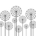 Black stylized dandelions on white background Royalty Free Stock Photo