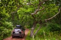 Black Subaru Forester with rooftop cargo carrier at forest road in summer