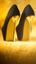 Black suede shoes with high gold heels