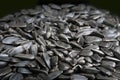 Black sunflower seeds background Royalty Free Stock Photo