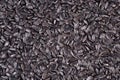 Black sunflower seeds background Royalty Free Stock Photo