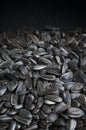 Black sunflower seeds background with copy space Royalty Free Stock Photo