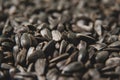 Black sunflower seeds background. Royalty Free Stock Photo