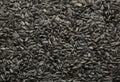 Black sunflower seeds background Royalty Free Stock Photo