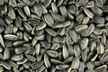 Black sunflower seeds, background Royalty Free Stock Photo