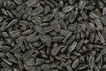 Black sunflower seeds. Black sunflower seeds for texture or background. Black sunflower seeds macro close up Royalty Free Stock Photo