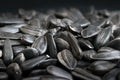 Black sunflower seeds close-up with black background Royalty Free Stock Photo