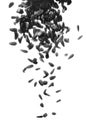 Black sunflower seeds falling down