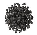 Black sunflower seeds isolated on white background with clipping path, top view