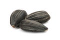 Black sunflower seeds macro Royalty Free Stock Photo