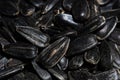 Black sunflower seeds macro Royalty Free Stock Photo