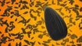Black sunflower seeds on orange background. Single Sunflower seed closeup macro shot isolated in the foreground. Shallow depth of Royalty Free Stock Photo