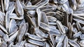 Black sunflower seeds. For texture or background Royalty Free Stock Photo