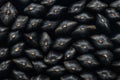 Black sunflower seeds. For texture or background close up Royalty Free Stock Photo