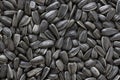 Black sunflower seeds. For texture or background. Close-up of sunflower seeds Royalty Free Stock Photo