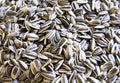 Black sunflower seeds. For texture or background . organic sunflower seed for background uses Royalty Free Stock Photo