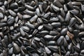 Black sunflower seeds. For texture or background Royalty Free Stock Photo